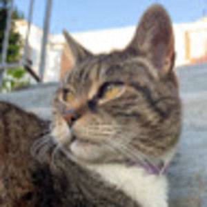 Meet your Posher, Linda